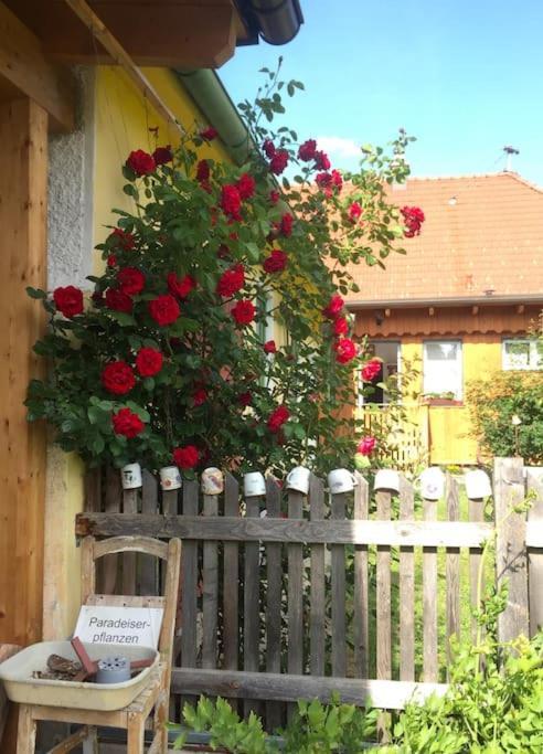 Ferienhaus Mit Garten In Thermennaehe Strebersdorf Dış mekan fotoğraf