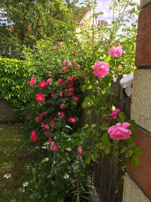 Ferienhaus Mit Garten In Thermennaehe Strebersdorf Dış mekan fotoğraf