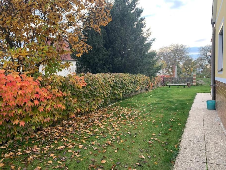 Ferienhaus Mit Garten In Thermennaehe Strebersdorf Dış mekan fotoğraf